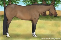 Horse Color:Brown Dun Brindle
