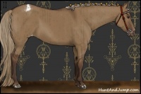 Horse Color:Liver Red Dun Varnish Brindle 