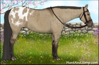 Horse Color:Liver Red Dun Blanket Brindle 