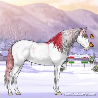 Horse Color:Watercolor Liver Chestnut Sabino Appaloosa 