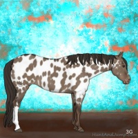 Horse Color:Liver Red Dun Appaloosa Brindle 