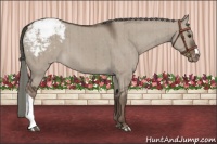 Horse Color:Liver Red Dun Mushroom Varnish Brindle 