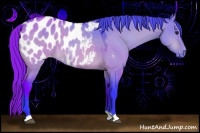 Horse Color:Watercolor Bay Dun Appaloosa 