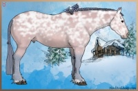 Horse Color:Watercolor Bay Ice 