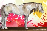 Horse Color:White Spotted Liver Red Onyx Ice Pearl