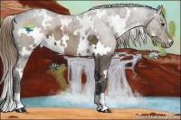 Horse Color:White Spotted Liver Chestnut Ice 