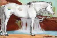 Horse Color:White Spotted Liver Red Onyx Ice Sabino Splash 
