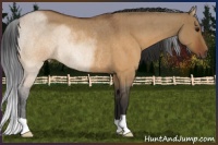 Horse Color:Brown Roan Dun Rabicano Brindle 