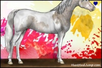 Horse Color:Liver Red Dun Splash Tobiano 