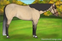 Horse Color:Brown Roan Dun Rabicano Brindle
