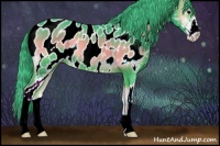 Horse Color:Watercolor Blue Onyx Sabino Appaloosa