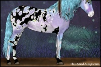 Horse Color:Watercolor White Spotted Brown Onyx Appaloosa 