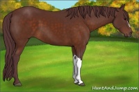 Horse Color:Chocolate Brown 