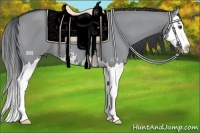 Horse Color:Grullo Chinchilla Sabino Splash 