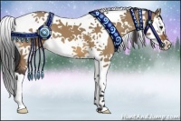 Horse Color:Bay Dun Splash Tobiano 