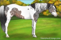 Horse Color:Brown Ice Splash Tobiano