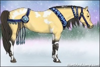 Horse Color:Buckskin Tobiano