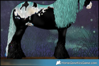 Horse Color:Watercolor Brown Onyx Splash Appaloosa 