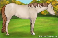 Horse Color:Smoky Black Pearl 