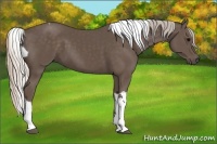 Horse Color:Silver Black Tobiano 