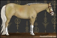 Horse Color:Silver Smoky Black Sabino 
