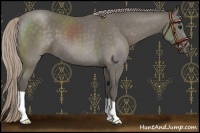 Horse Color:Silver Black 