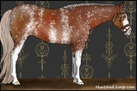 Horse Color:White Spotted Chocolate Silver Brown Varnish 