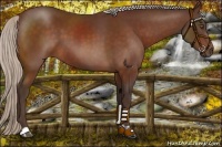 Horse Color:Silver Brown 