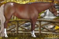 Horse Color:Chocolate Silver Brown Varnish 
