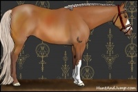 Horse Color:Chocolate Silver Bay