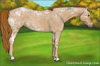 Horse Color:Red Ice Roan 