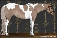 Horse Color:Chocolate Silver Grullo Tobiano 