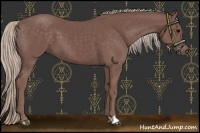 Horse Color:Chocolate Silver Black