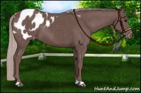 Horse Color:Chocolate Silver Black Blanket 