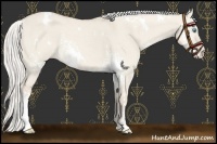 Horse Color:White Spotted Chocolate Silver Smoky Creme Dun