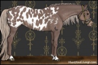 Horse Color:Chocolate Silver Black Appaloosa 
