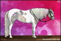 Horse Color:Nacre Cremello Ice Tobiano