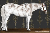Horse Color:Silver Black Sabino 