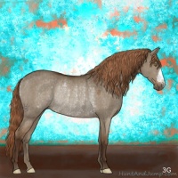 Horse Color:Liver Red Dun Rabicano 