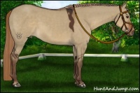 Horse Color:Liver Red Dun 