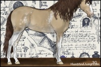 Horse Color:White Spotted Liver Red Dun 