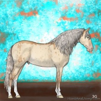 Horse Color:Silver Sable Champagne Dun Rabicano 