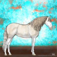 Horse Color:White Spotted Gold Champagne Dun Sabino Splash Rabicano 