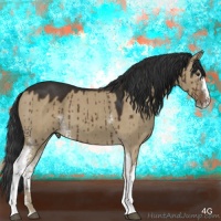 Horse Color:White Spotted Liver Red Dun Sabino Brindle 