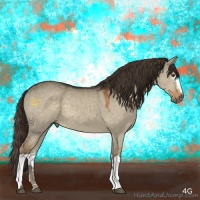 Horse Color:White Spotted Liver Red Dun 