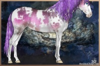 Horse Color:Painted White Spotted Silver Buckskin Onyx Splash Rabicano 