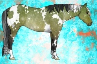 Horse Color:White Spotted Bay Dun Rabicano Brindle 