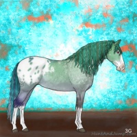 Horse Color:Painted Buckskin Chinchilla Sabino Splash Appaloosa Rabicano