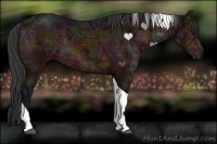 Horse Color:Midnight Bay Ice Tobiano 