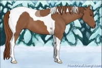 Horse Color:Chestnut Tobiano 